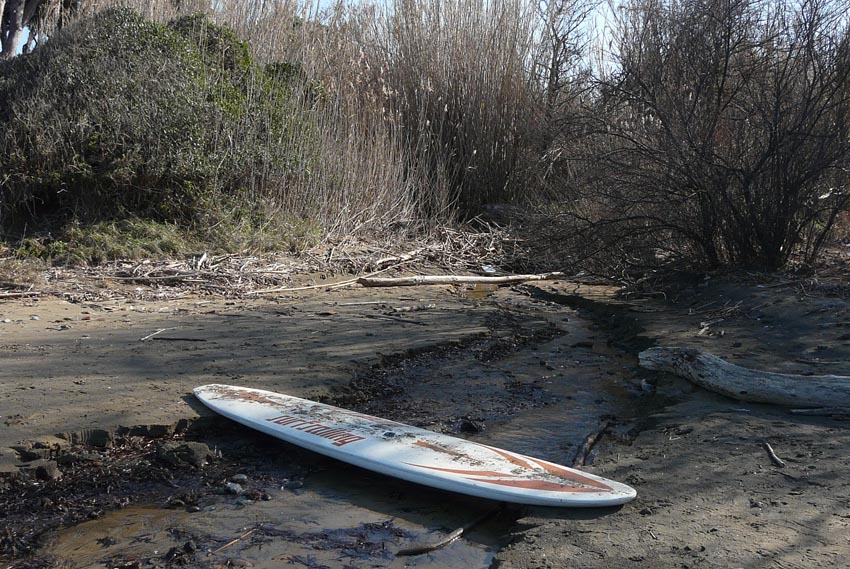 I fossi e lo stagno di Baratti (Piombino - LI)